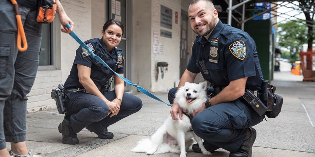 This dog — rescued from a hot car — has now been adopted. The dog's new name is Snow. The officer who adopted the pet "knew Snow was special."