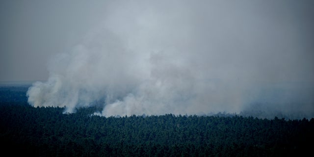 Smoke rises in Grunewald forest in Berlin, Germany, Thursday, Aug. 4, 2022. (Kay Nietfeld/dpa via AP)