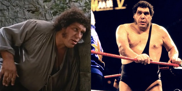 André René Roussimoff, better known as Andre the Giant, got his start as a wrestler, his main storyline being his feud with Hulk Hogan.