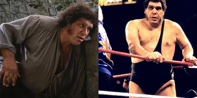 Andre the Giant