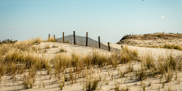 A naturally formed sand dune, foreground, in the north island area of Assateague Island National Seashore on Maryland's Assateague Island in 2014.