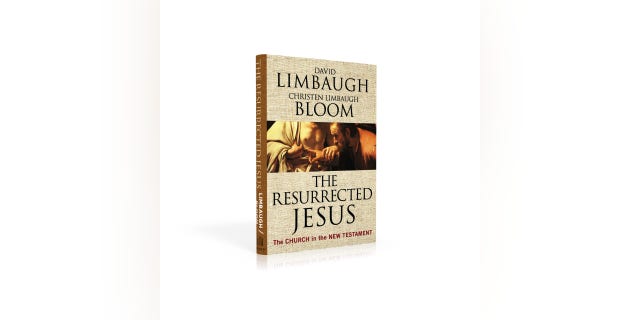 "It's gratifying when you do reach people" through a book such as this, said David Limbaugh to Fox News Digital.