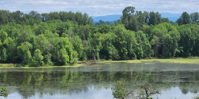 Barnes said he found the scenery in Oregon unmatched by any other place in the USA.