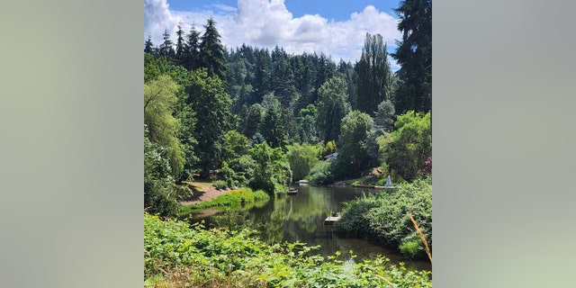 Barnes described Washington (pictured) as "scenic, but not anywhere near Montana, Idaho and Oregon."