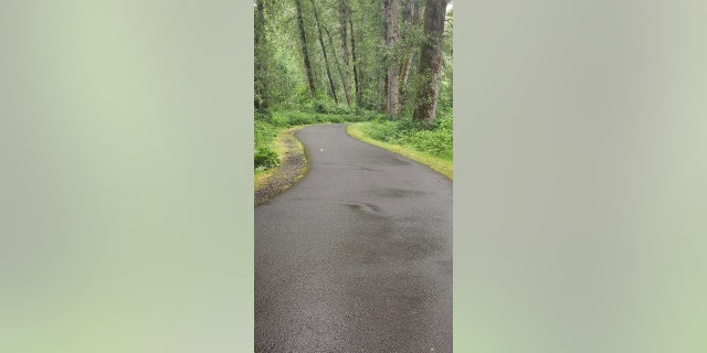 Barnes said the bike trail systems around Seattle are some of the best in the country, in his opinion.