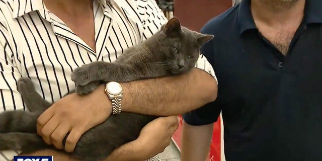 Boka's owners were relieved when the feline was returned on Saturday morning.