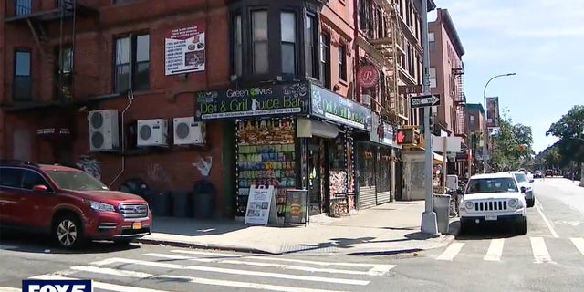 The bodega cat was allegedly stolen outside of Green Olives Deli &amp; Grill in Brooklyn.