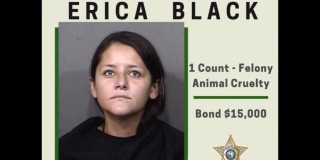 Erica Black's mugshot shared by the Brevard County Sheriff's Office