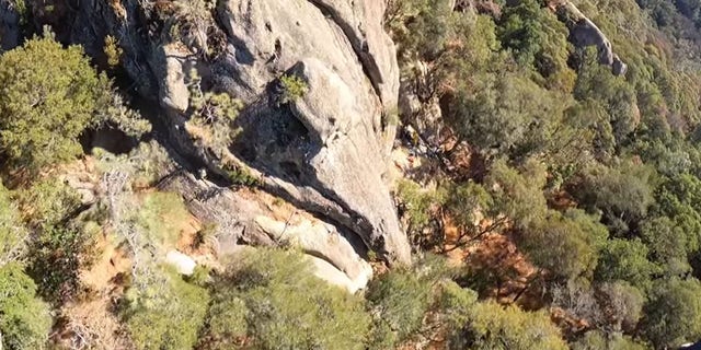 The 19-year-old male climber fell between 30 and 60 feet, authorities said.