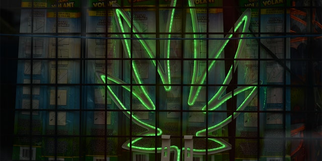 Cannabis logo seen in a cannabis shop window in Edmonton.