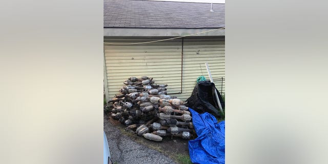 Pile of Catalytic Converters