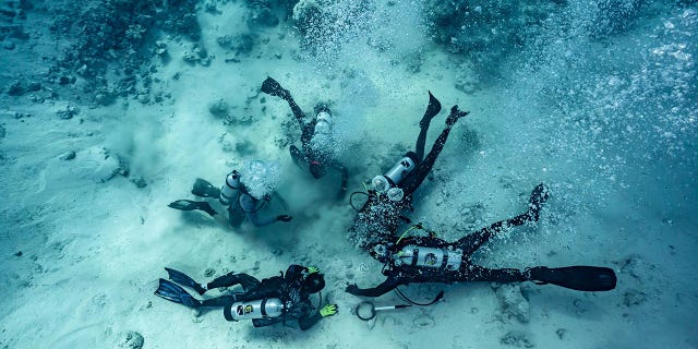 Divers are shown digging for buried treasure at the bottom of the sea — the site of a shipwreck in the Bahamas.