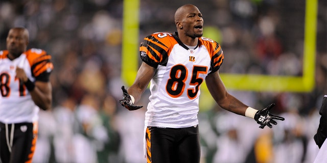Chad Ochocinco Johnson, a former wide receiver for the Cincinnati Bengals, is pictured during a game against the New York Jets at Metlife Stadium on November 25, 2010 in East Rutherford, New Jersey.