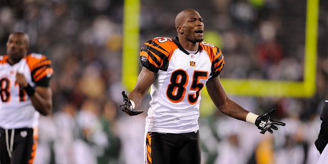 Chad Ochocinco Johnson, a former wide receiver for the Cincinnati Bengals, is pictured during a game against the New York Jets at Metlife Stadium on November 25, 2010 in East Rutherford, New Jersey.