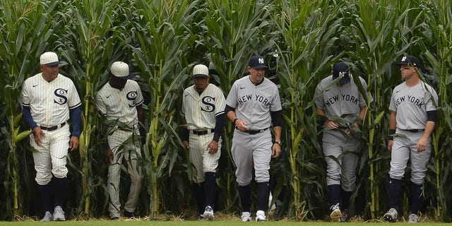 Players of the Chicago White Sox and New York Yankees walk through a row of corn during a pregame introduction at the Field of Dreams in Dyersville, Iowa on August 12, 2021.