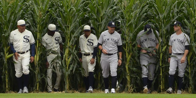 Players of the Chicago White Sox and New York Yankees walk through a row of corn during a pregame introduction at the Field of Dreams in Dyersville, Iowa on August 12, 2021.