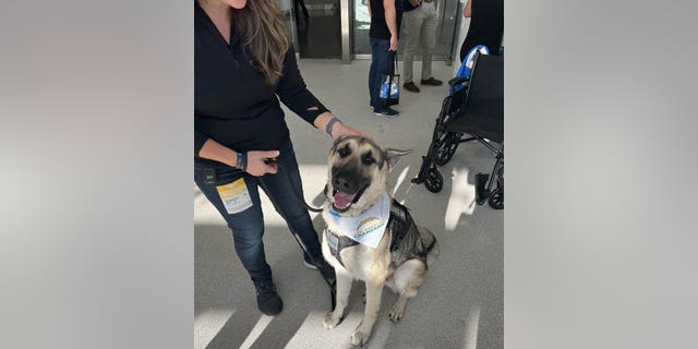 Georgia police officer Jennyie Hill and her service dog Barron. Hill serves on the peer support team of The Wounded Blue, where she helps others with PTSD and suicide prevention.