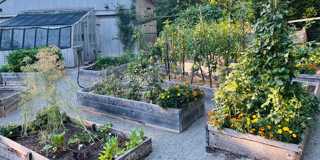 People with home gardens are looking for ways to make sure their gardens are cared for while they're away on vacation. 