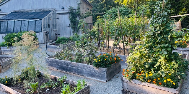 People with home gardens are looking for ways to make sure their gardens are cared for while they're away on vacation. 