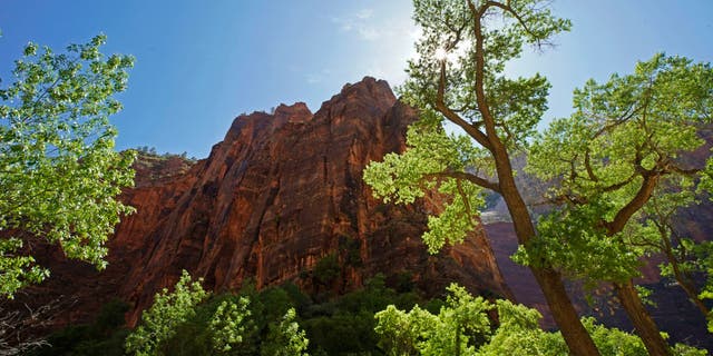 The morning sun lights up large rock formations in Zion National Park on May 15, 2020, in Springdale, Utah.