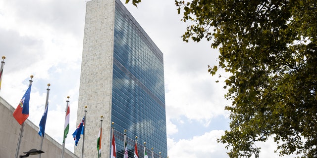 International flags outside the United Nations headquarters in New York.