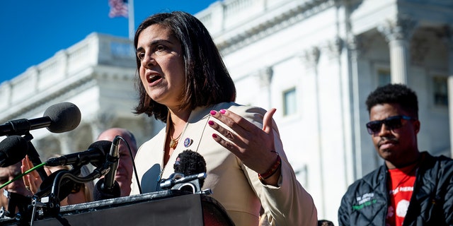 Rep. Nicole Malliotakis, R-NY, speaks during a press conference in front of the U.S. Capitol on November 1, 2021 in Washington, DC. 