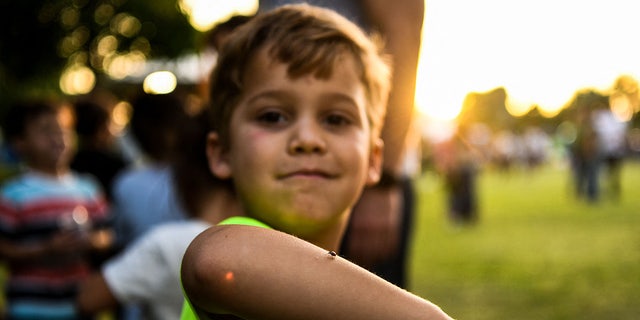 A boy poses with a ladybug on his arm at Doral Glades Park in Doral, Florida, on Earth Day, April 22, 2022.  