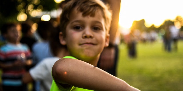 A boy poses with a ladybug on his arm at Doral Glades Park in Doral, Florida, on Earth Day, April 22, 2022.