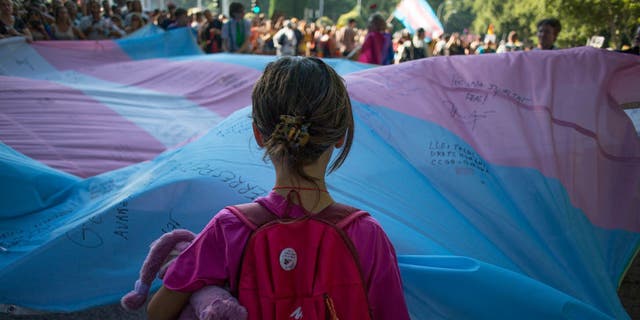 A girl holds the Transgender Pride flag during the pride march held in one of the most important streets of Madrid, Spain.