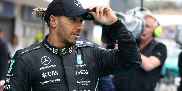 Lewis Hamilton of the Mercedes AMG-Petronas F1 Team at the end of the F1 Grand Prix of Hungary. 