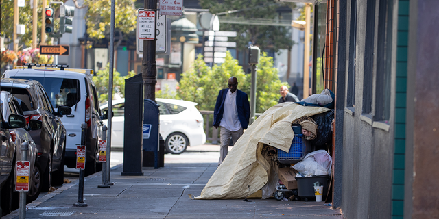 Rows of tents line the sidewalk in San Francisco.SAN FRANCISCO, USA - AUGUST 29: Homeless tents are seen near the City Hall of San Francisco in California, United States on August 29, 2022. (Photo by Tayfun Coskun/Anadolu Agency via Getty Images)