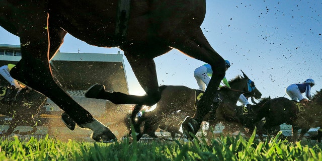 Horses racing on a field