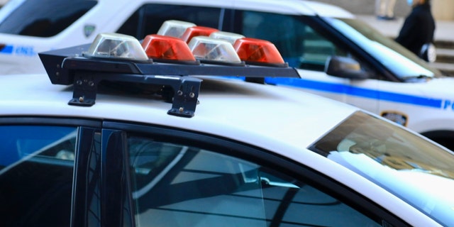Stock image of a police car