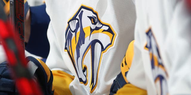 The Nashville Predators logo during their game against the Philadelphia Flyers. The Nashville Predators Foundation is teaming with police in a "Gift Card for Guns" effort.