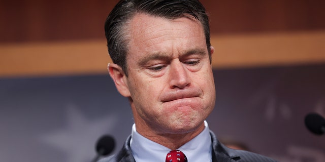 U.S. Senator Todd Young (R-IN) speaks on the economy during a news conference at the U.S. Capitol on May 4, 2022 in Washington, DC.
