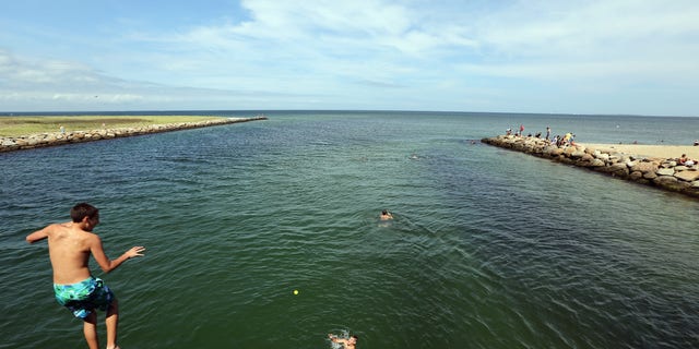 View from the "Jaws Bridge" on Martha's Vineyard.