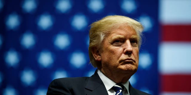 GRAND RAPIDS, MI - DECEMBER 9: President-elect Donald Trump looks on during a rally at the DeltaPlex Arena, December 9, 2016 in Grand Rapids, Michigan. President-elect Donald Trump is continuing his victory tour across the country. (Photo by Drew Angerer/Getty Images)