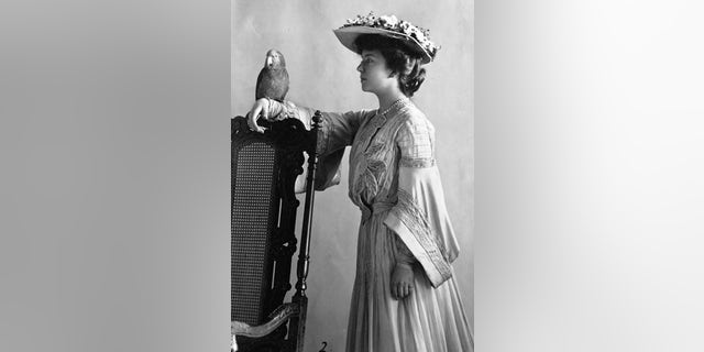 Alice Roosevelt Longworth is shown holding a parrot on her arm.   