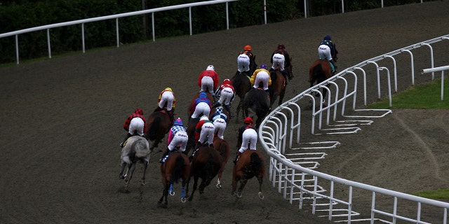 A generic view of the field during The Free Entry for Betdaq members apprentice handicap stakes.