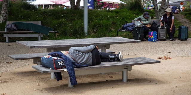 A homeless man sleeps in the six-acre Tongva Park, a relatively new urban community oasis in Santa Monica, California, filled with interesting architecture, walkways, landscaping, and native vegetation and located between the Santa Monica Pier and City Hall.