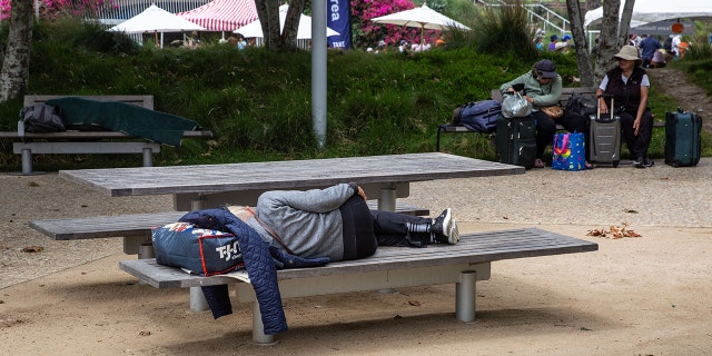 Santa Monica property owners post sign in shopping area saying city 'is not safe' due to crime, homelessness 4 A homeless man sleeps in the six-acre Tongva Park, a relatively new urban community oasis in Santa Monica, California, filled with interesting architecture, walkways, landscaping, and native vegetation and located between the Santa Monica Pier and City Hall.