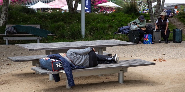 A homeless man sleeps in the six-acre Tongva Park, a relatively new urban community oasis in Santa Monica, California, filled with interesting architecture, walkways, landscaping, and native vegetation and located between the Santa Monica Pier and City Hall.