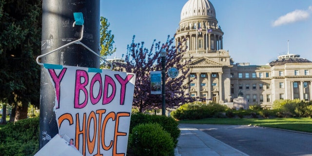 The Idaho Supreme Court ruled in August that the state's strict abortion bans will be allowed to take effect while legal challenges over the laws play out in court. 