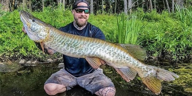 Joe Rivas caught this 41-inch, 26-pound tiger muskie in Lake Lillnonah last month.