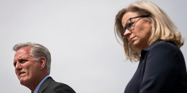 House Minority Leader Kevin McCarthy and Rep. Liz Cheney listen to questions during a news conference outside the U.S. Capitol on May 27, 2020.