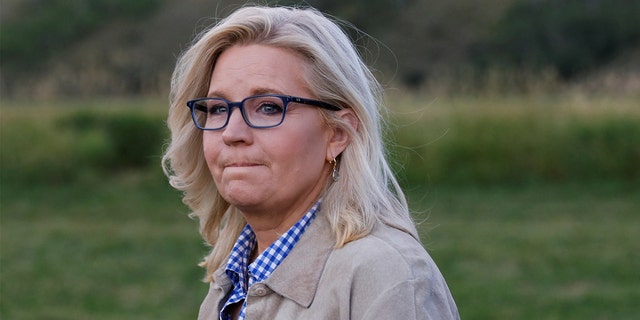 Rep. Liz Cheney's actions as part of the January 6 Select Committee cost her a job in Congress and earned her possibly the top spot as one of 2022's biggest losers.