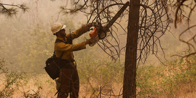 A U.S. Forest Service firefighter clears brush as the McKinney Fire continues burning near Yreka, Calif., on Sunday, July 31.