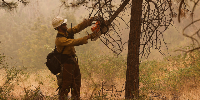 A U.S. Forest Service firefighter clears brush as the McKinney Fire continues burning near Yreka, Calif., on Sunday, July 31.