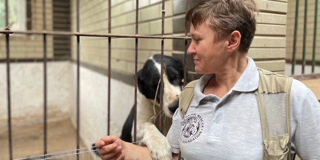 Natalia Popova converted her equestrian ranch on the outskirts of Kyiv into a menagerie sheltering lions, tigers, bears, foxes, deer, dogs and more. 