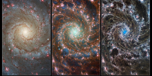 New images of the Phantom Galaxy, M74, showcase the power of space observatories working together in multiple wavelengths.